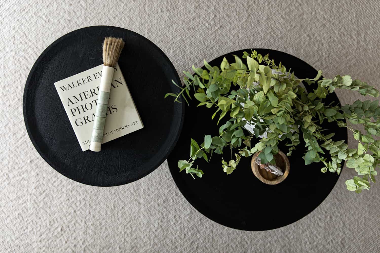 organic-modernist-apartment-living-room-coffee-table