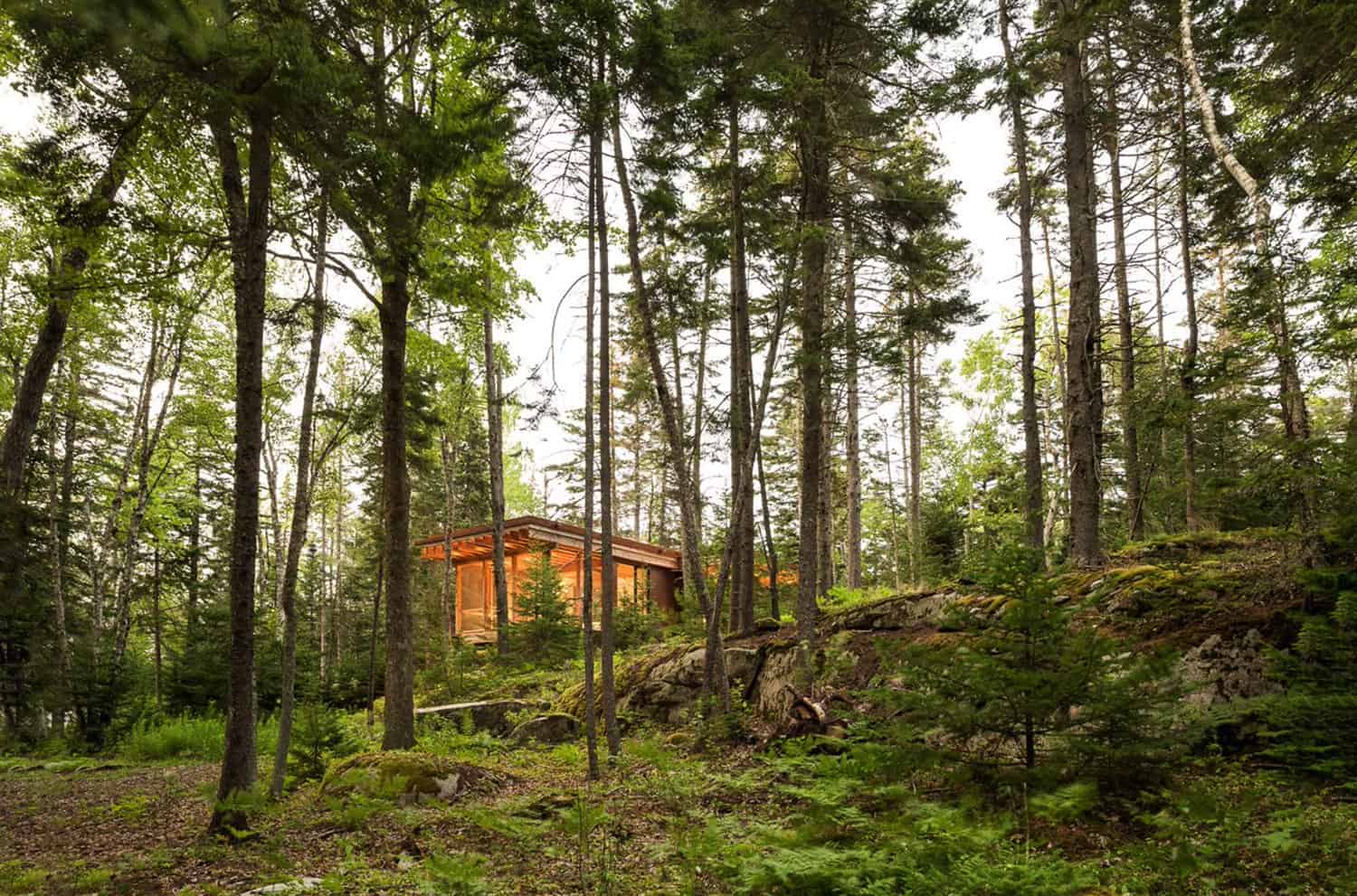 cabin-exterior-surrounded-by-woods
