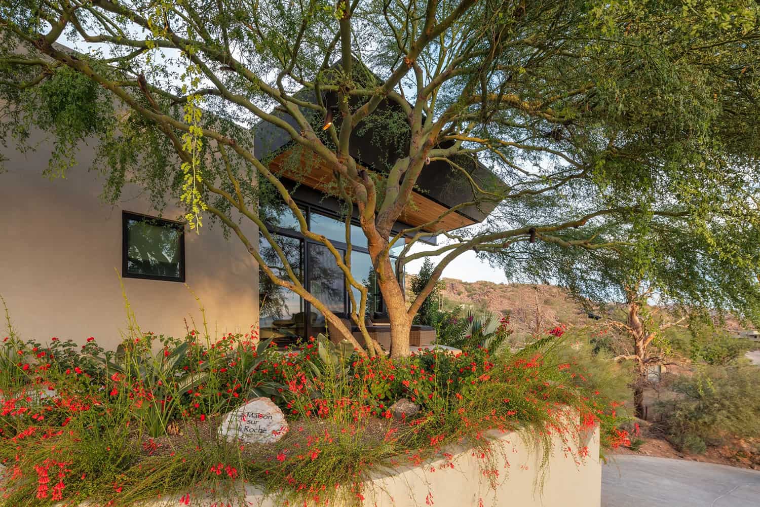 contemporary-arizona-desert-house-landscape