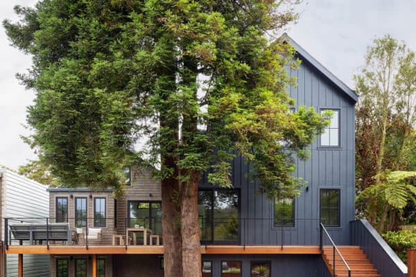 featured posts image for This serene San Francisco house overlooks a majestic redwood tree