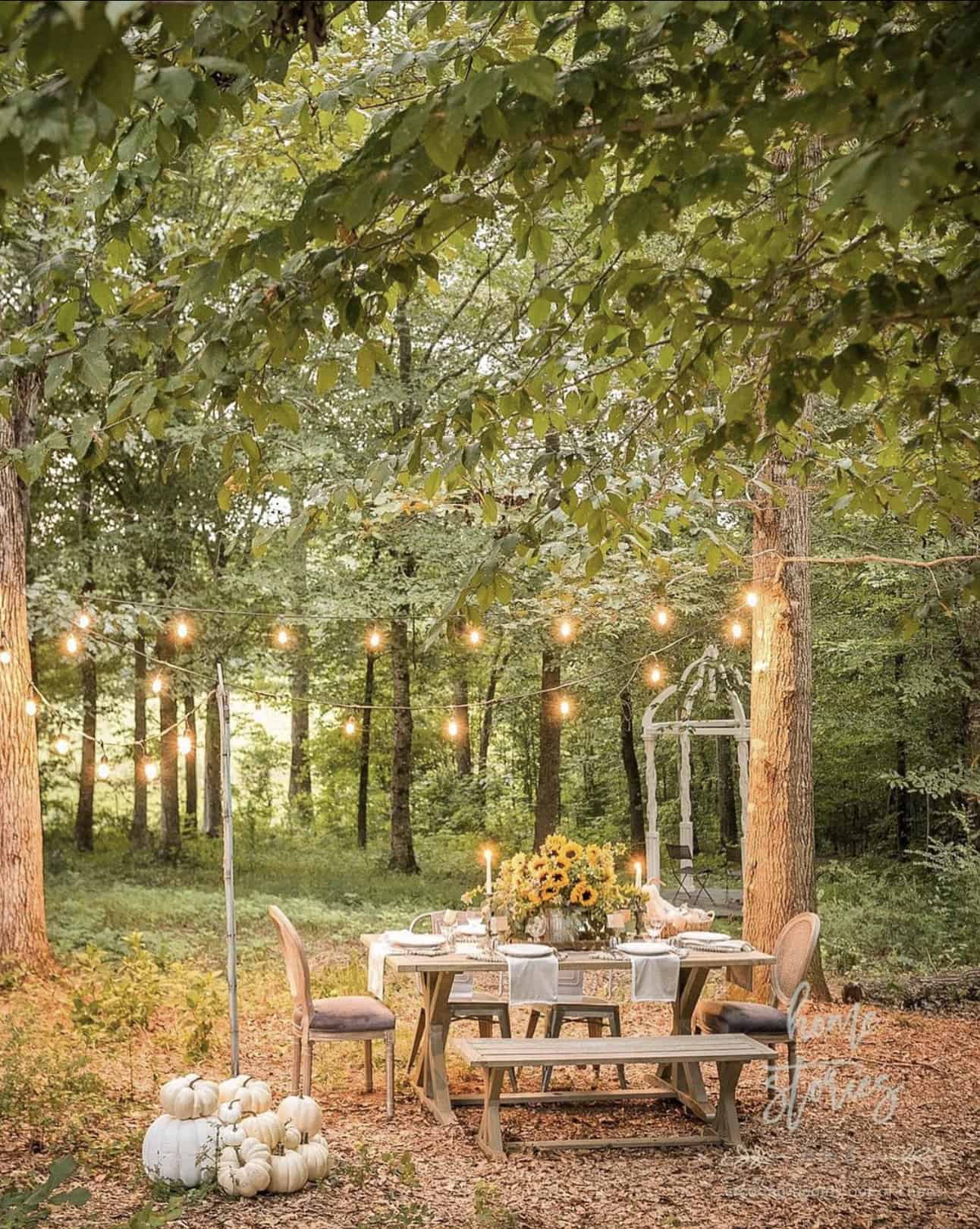 outdoor-alfresco-dining-in-the-woods-with-pumpkins-and-string-lights