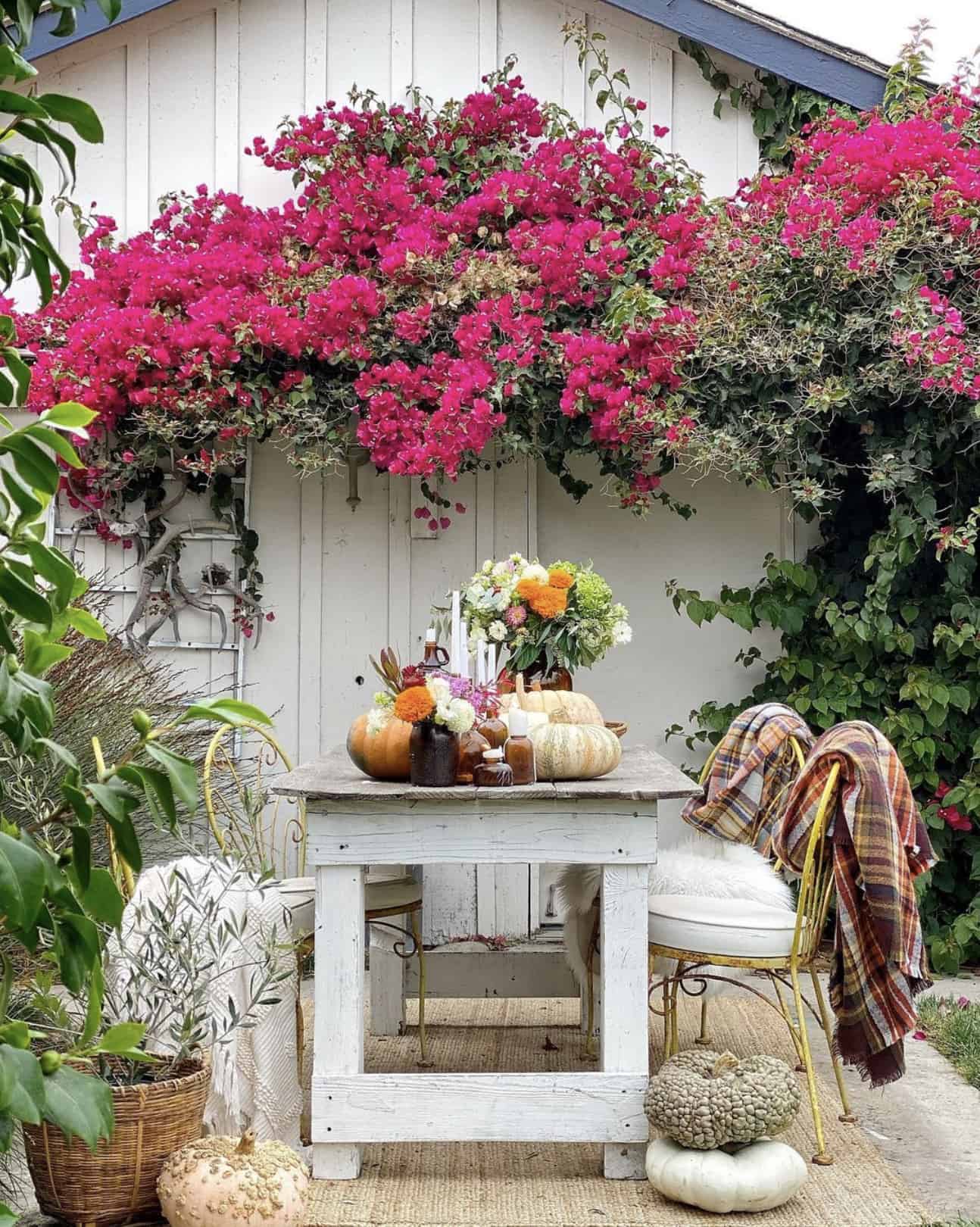 fall-table-decor-outdoors-with-bougainvillea-backdrop