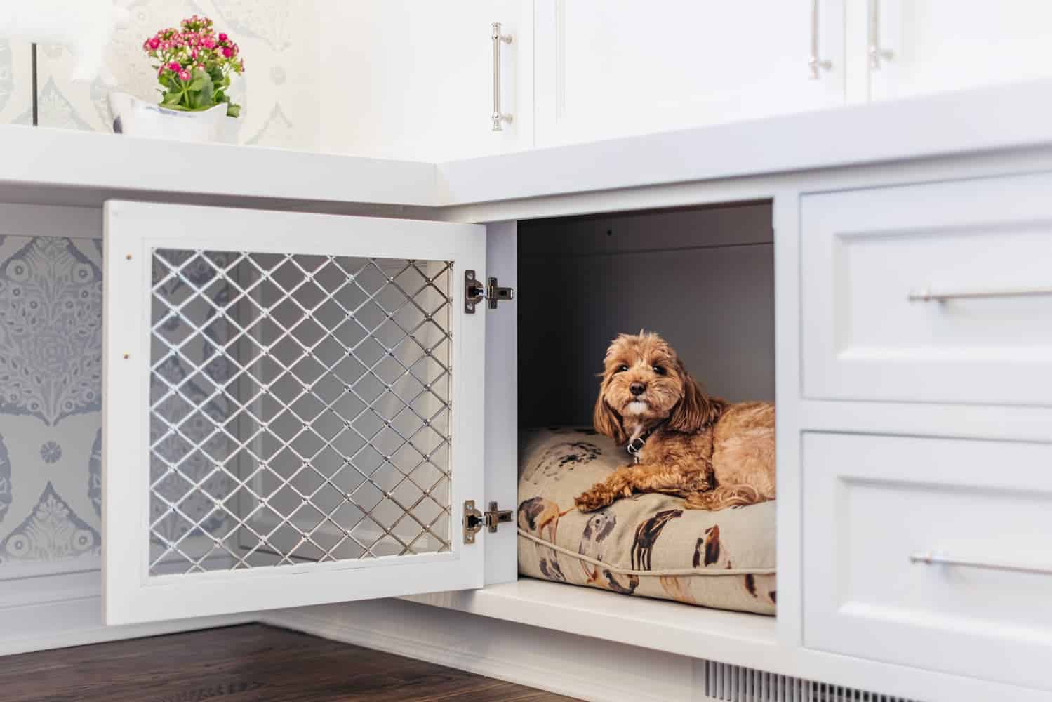 contemporary-dog-kennel