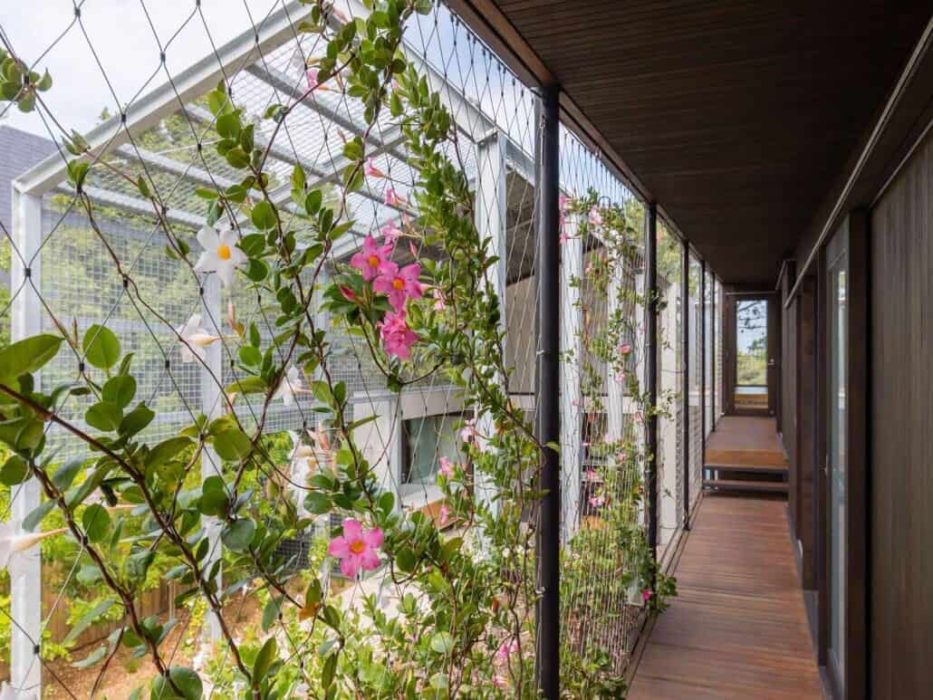 modern-hallway-with-plants