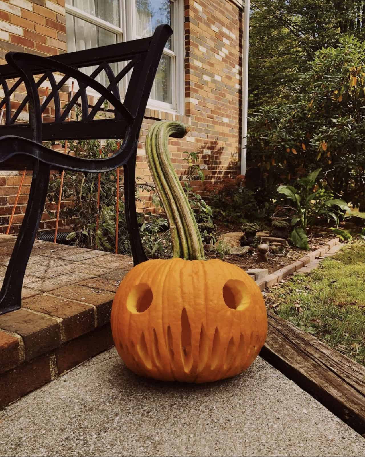 carved-pumpkin-with-a-long-stem