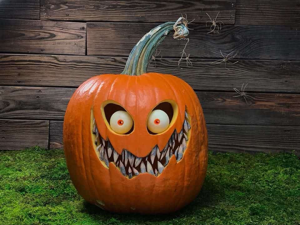 halloween-jack-o-lantern-with-sharp-teeth