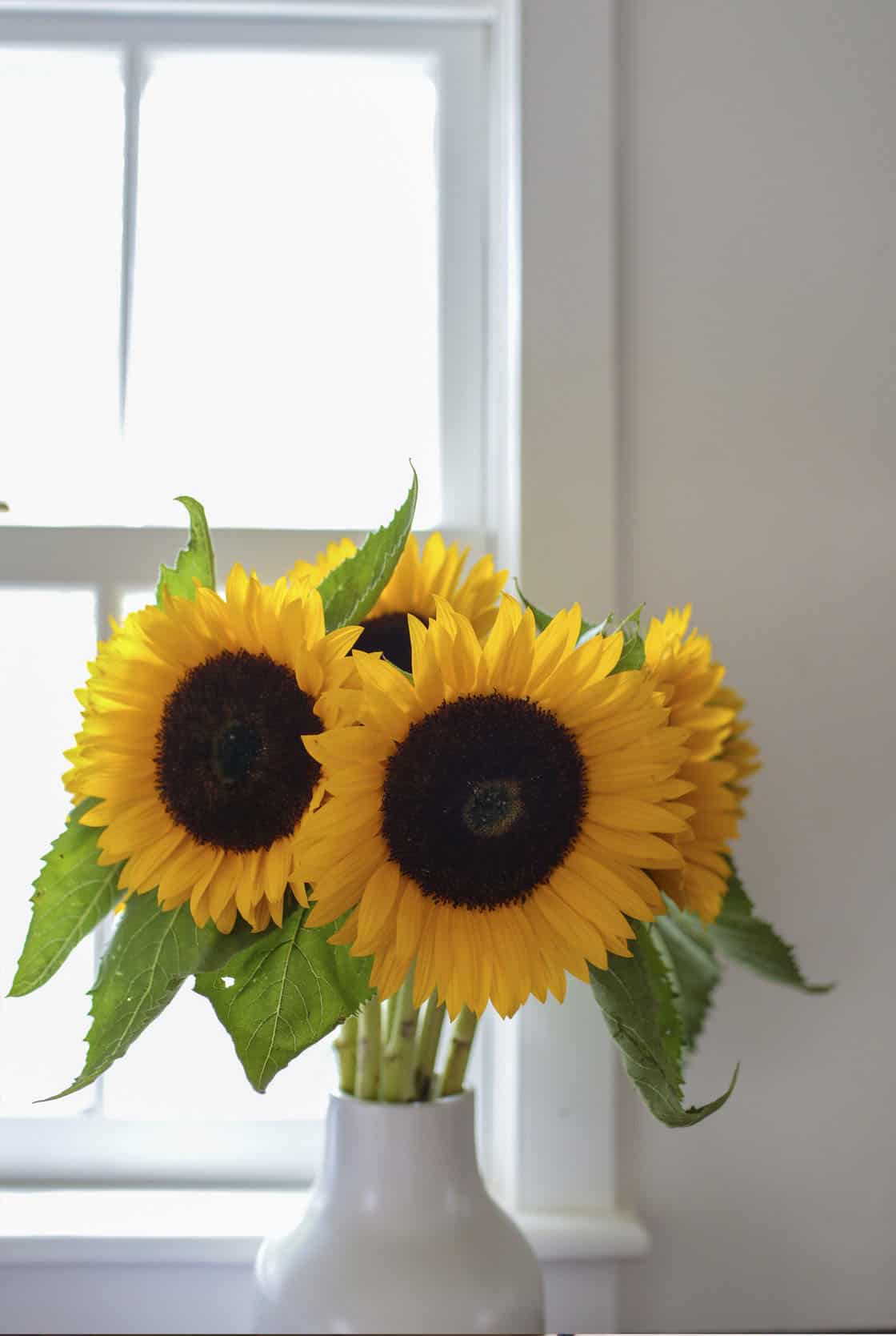 beach-style-kitchen-with-a-vase-of-sunflowers