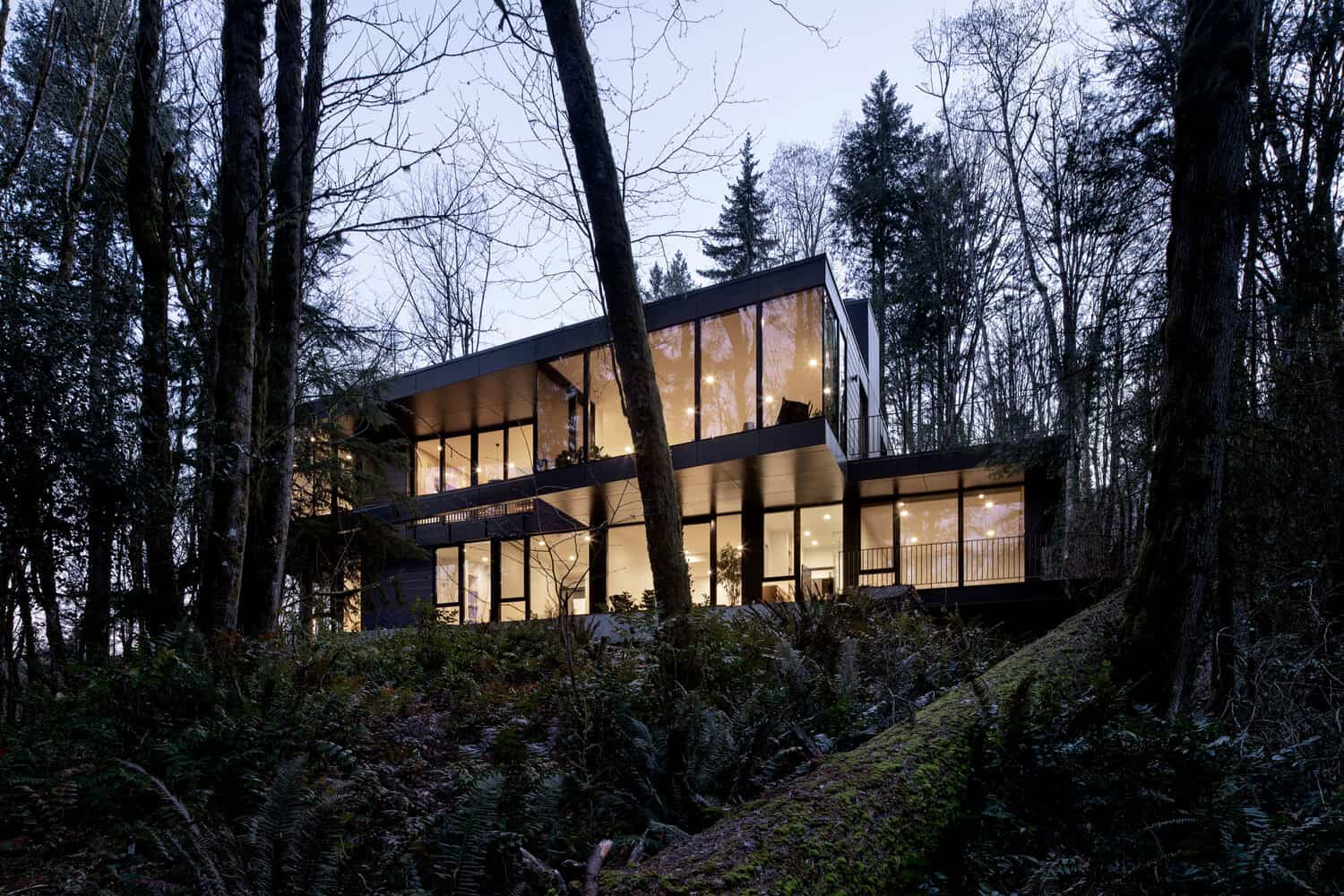 modern-home-exterior-in-the-forest