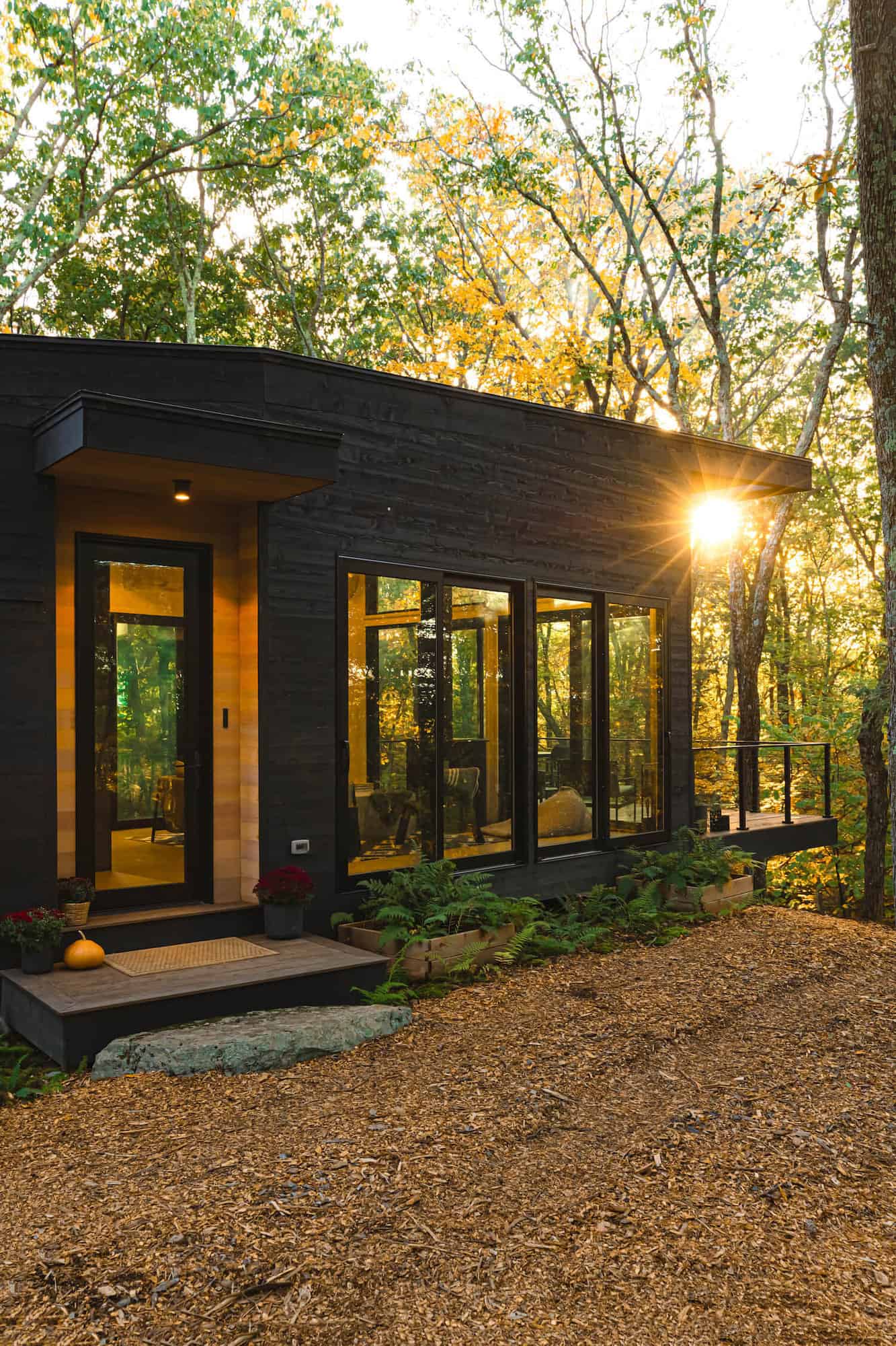 modernist-woodland-retreat-exterior