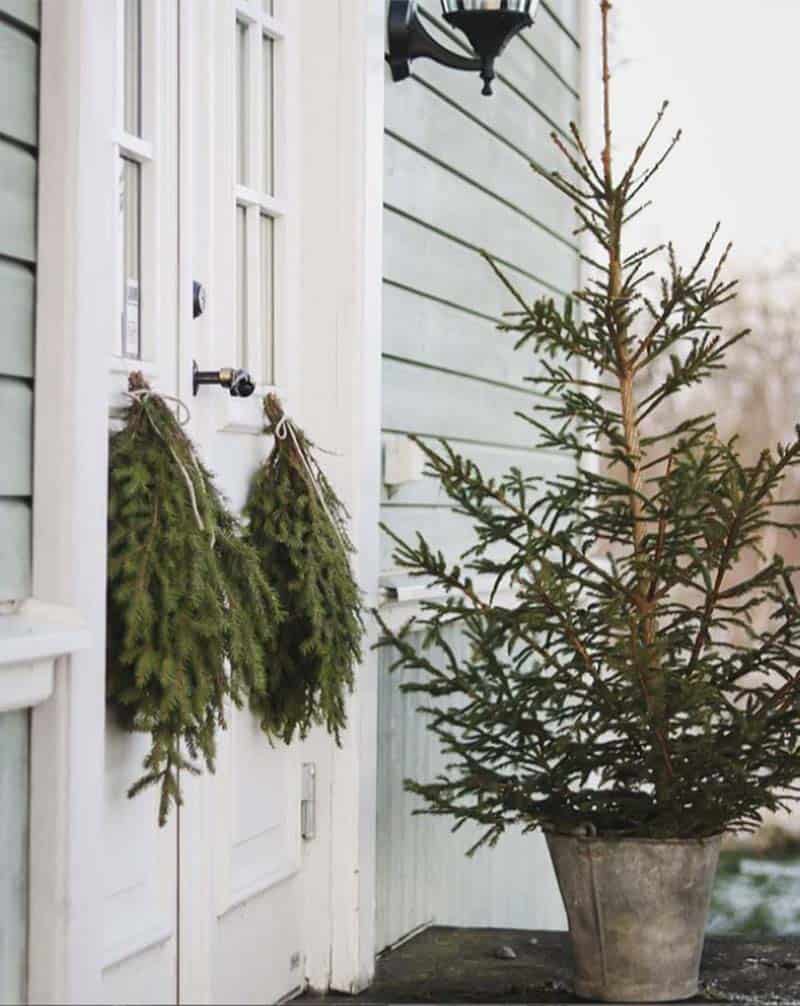 christmas-tree-on-the-front-porch