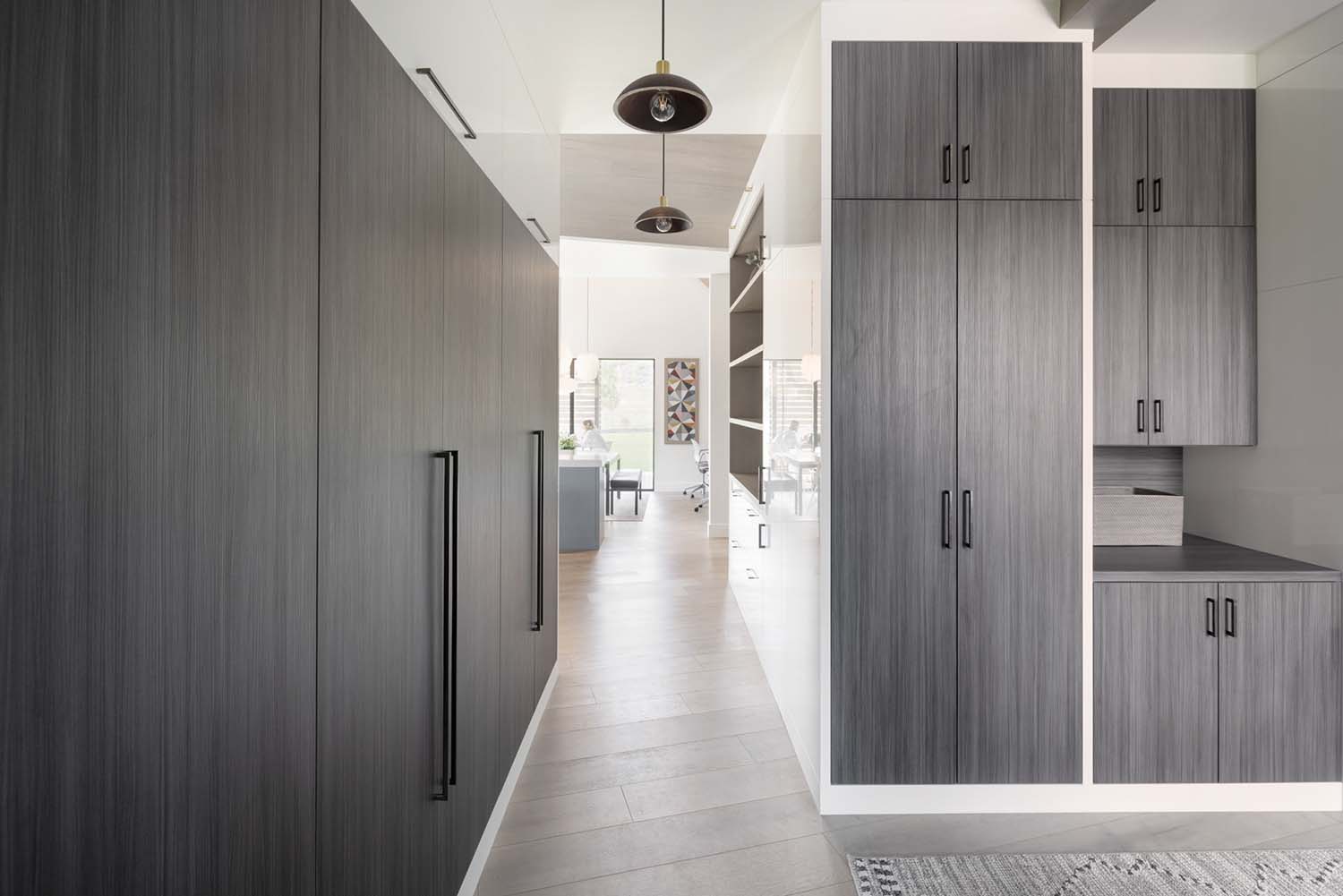 contemporary-kitchen-pantry
