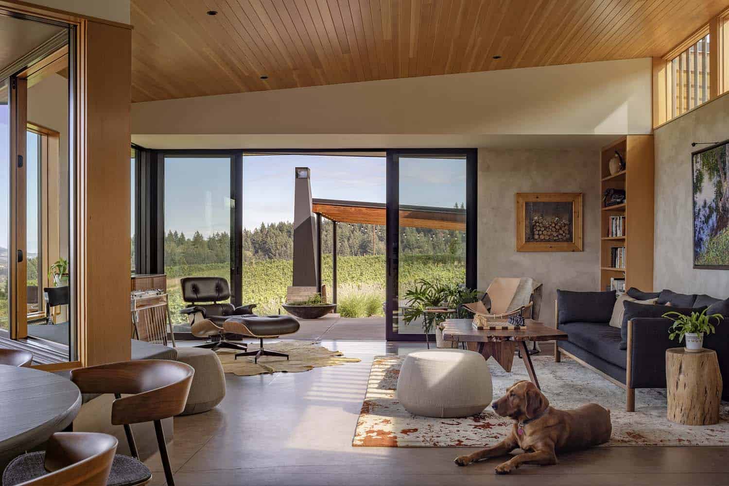 Step into this modern vineyard home in the beautiful Willamette Valley
