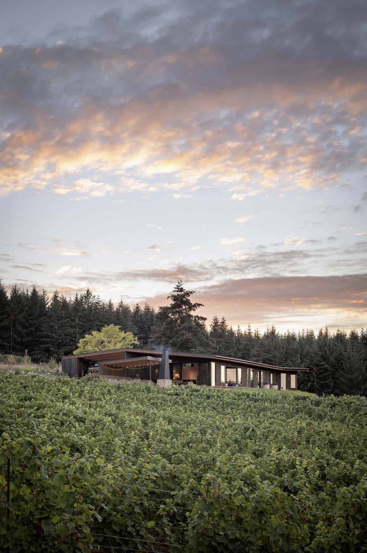 modern-vineyard-home-exterior