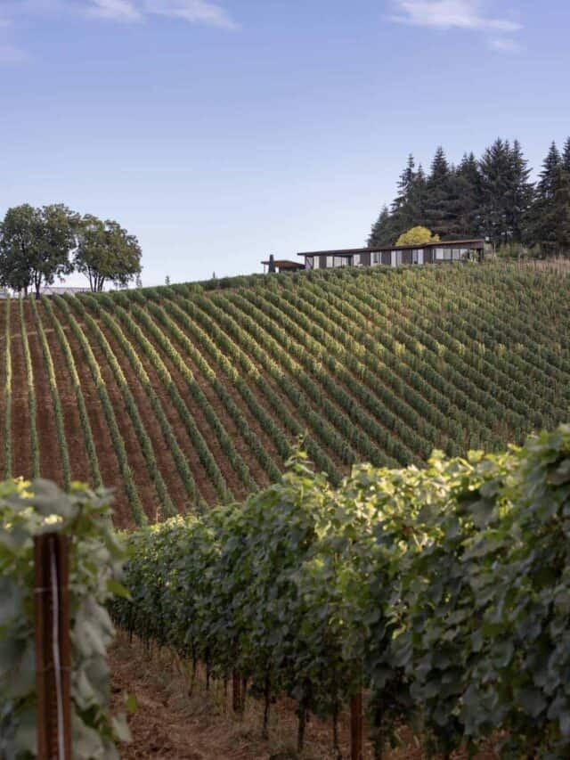 Modern Vineyard Home In The Beautiful Willamette Valley Story