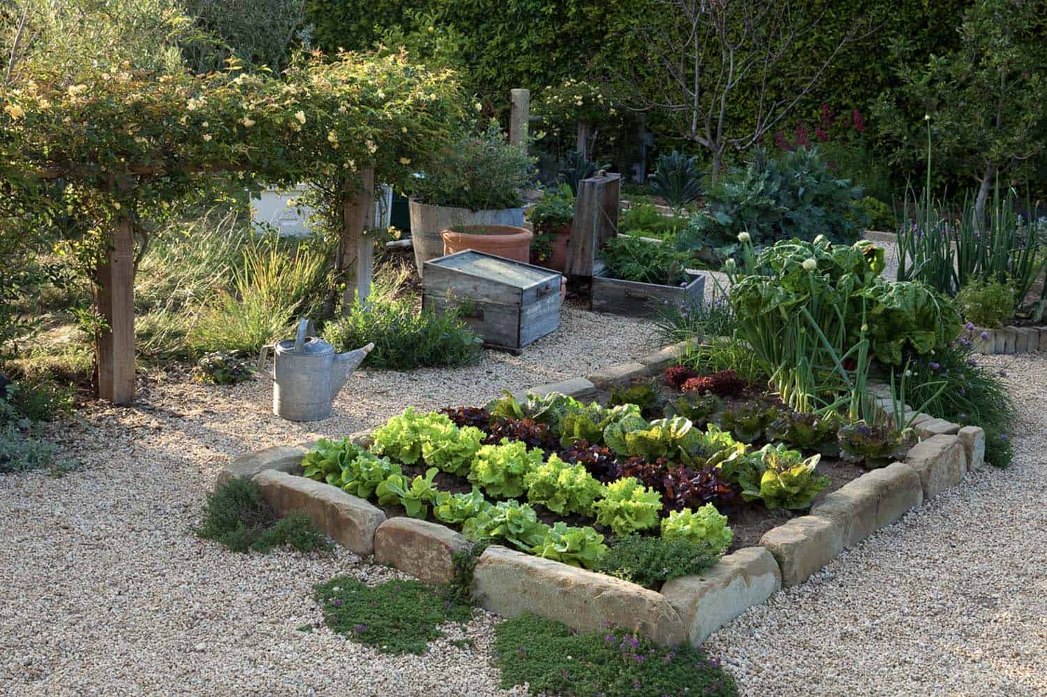 edible-vegetable-garden-backyard-landscaping