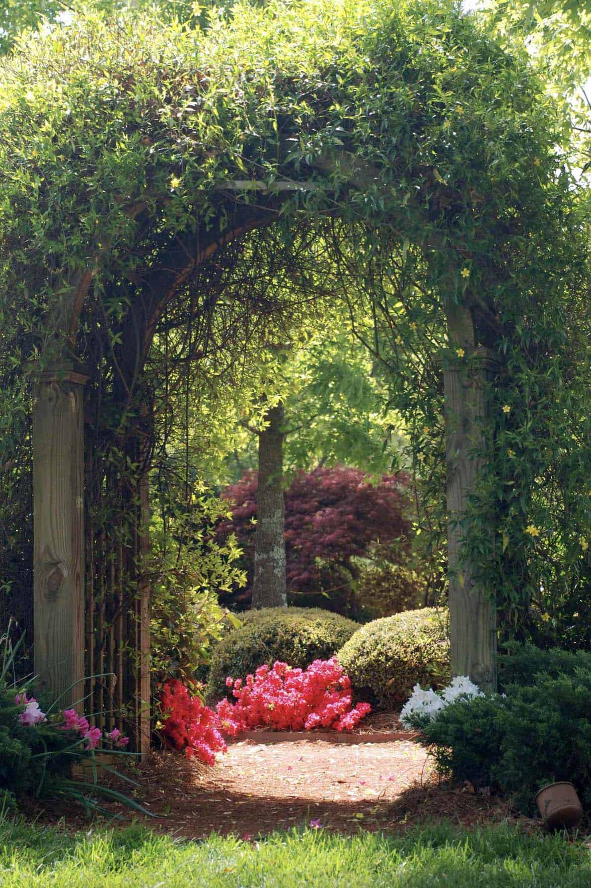 secret-garden-pathway-with-a-trellis-and-climbing-vines