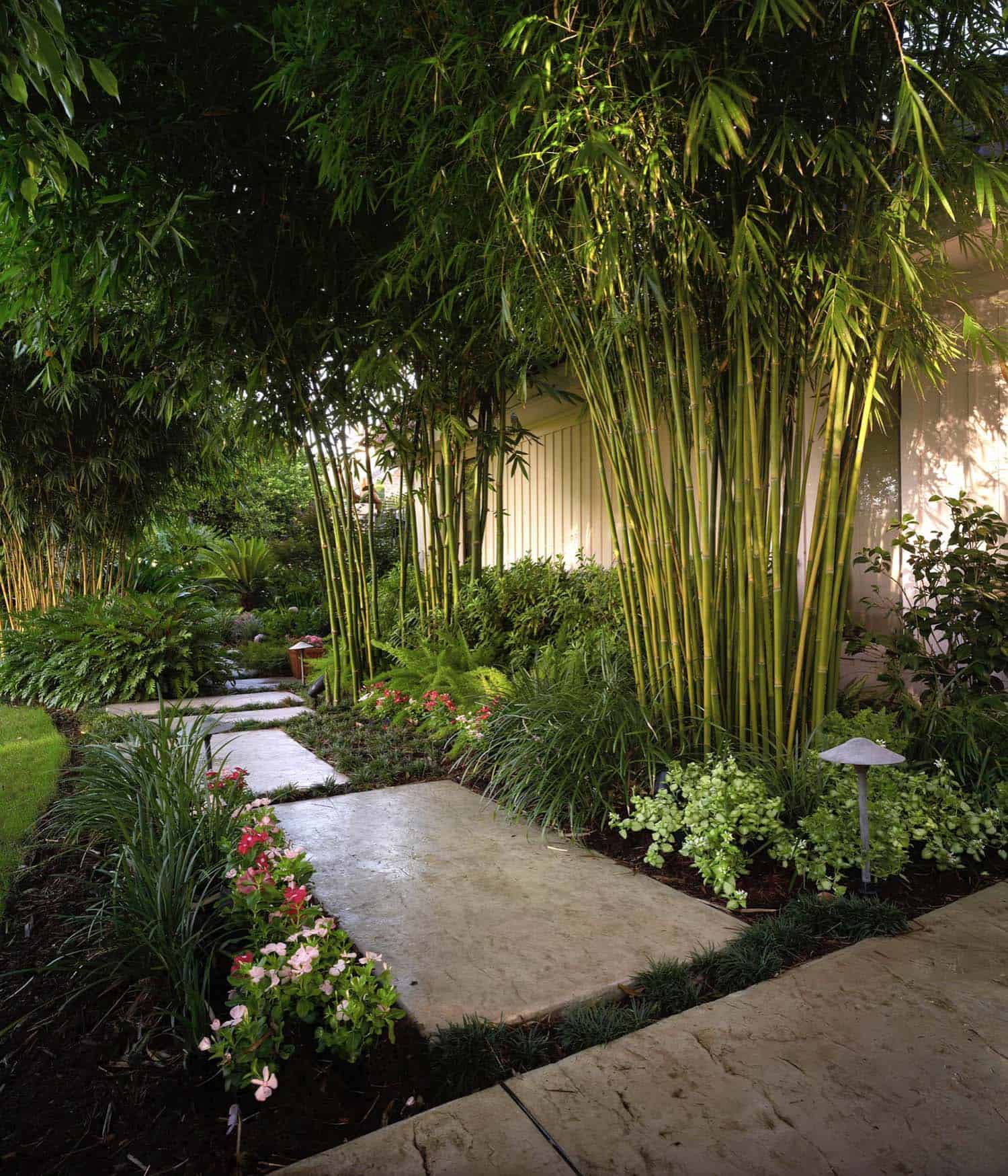 bamboo-walkway