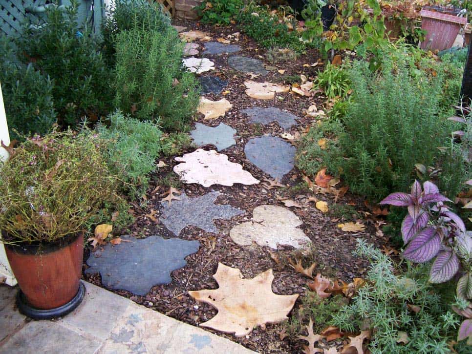 leafy-stepping-stone-garden-pathway