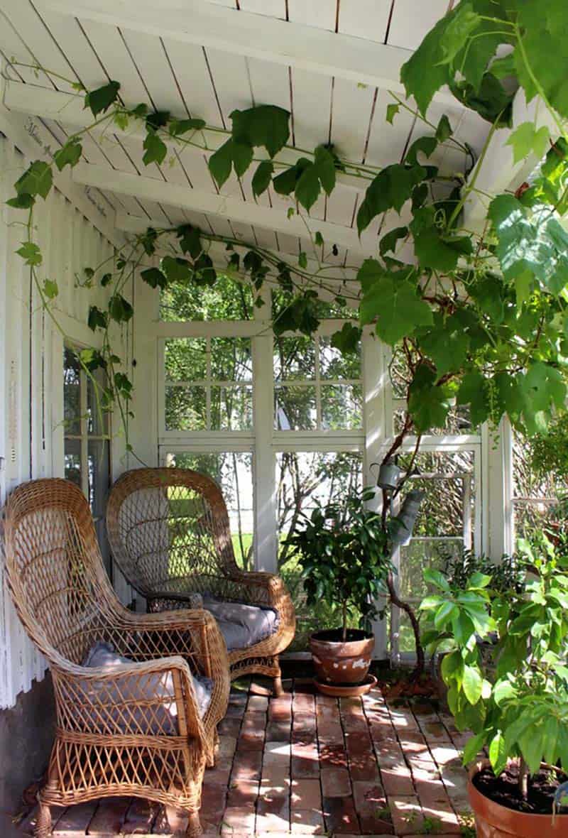 dream porch with wicker butterfly chairs and growing vines