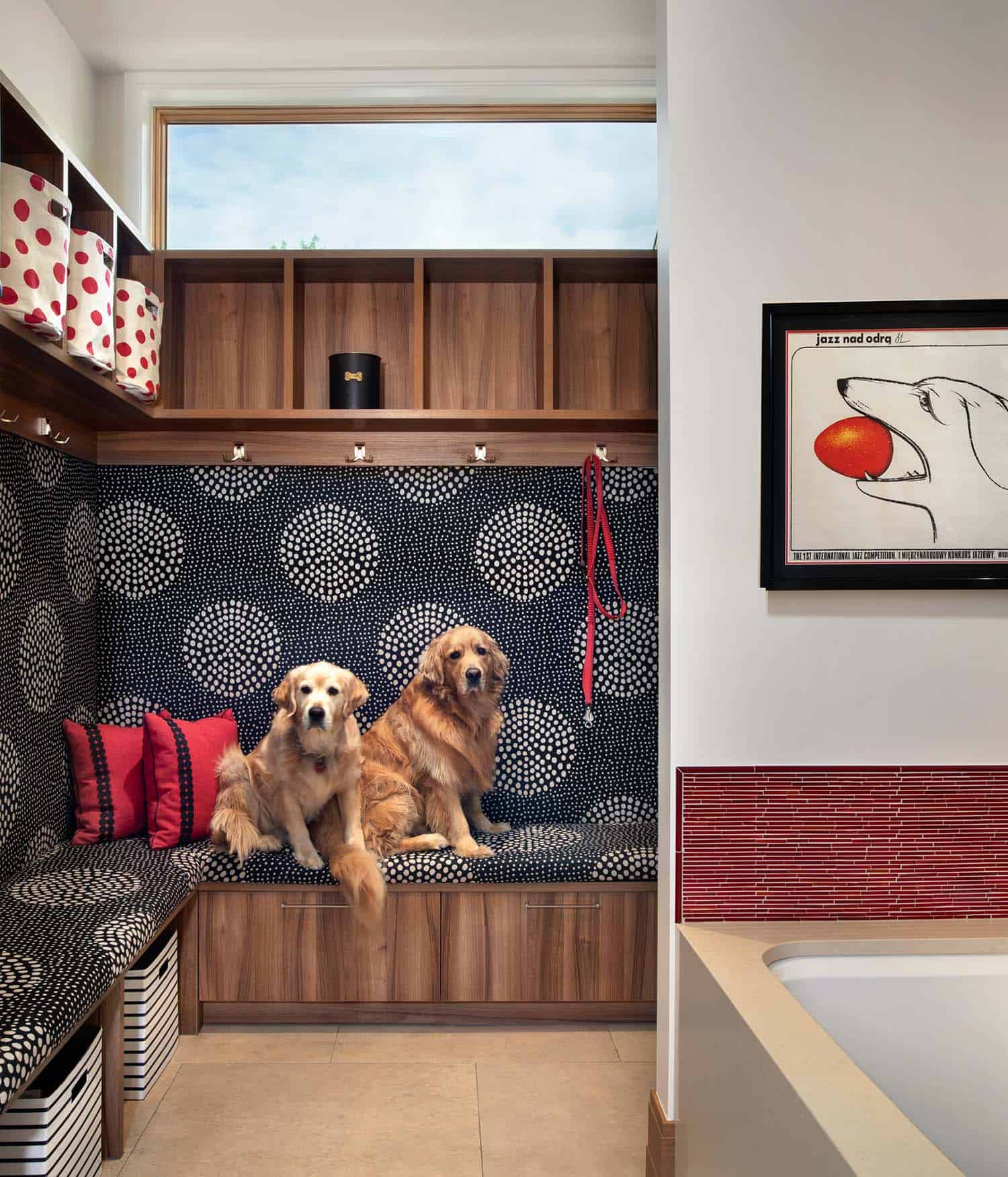 modern mudroom with built in benches and a dog wash station 