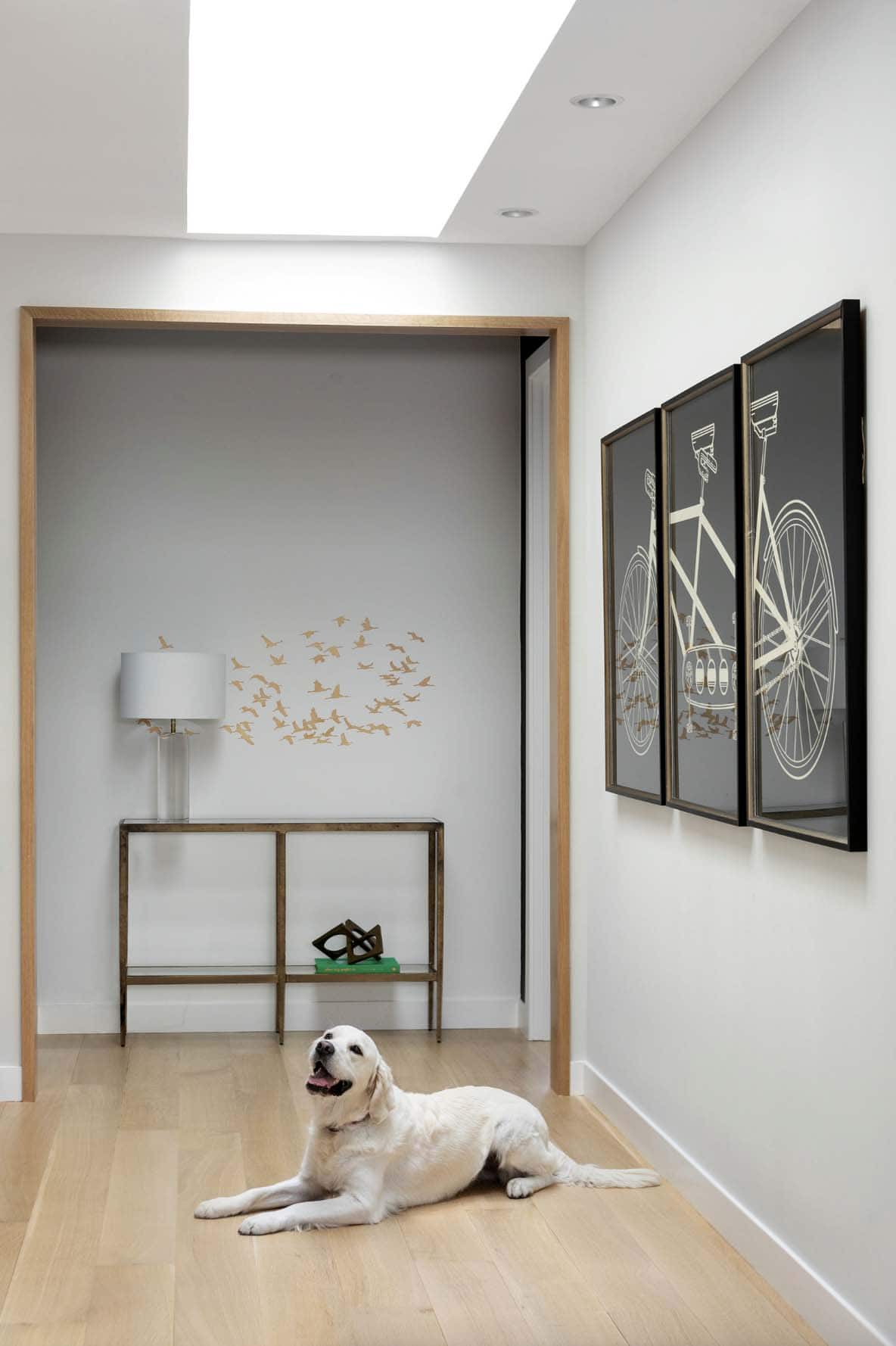 contemporary upstairs hallway with a dog