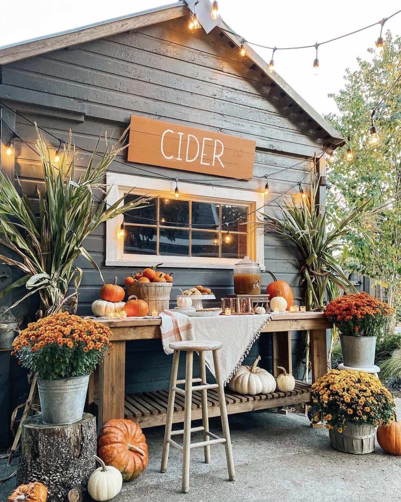 apple cider bar for a fall party