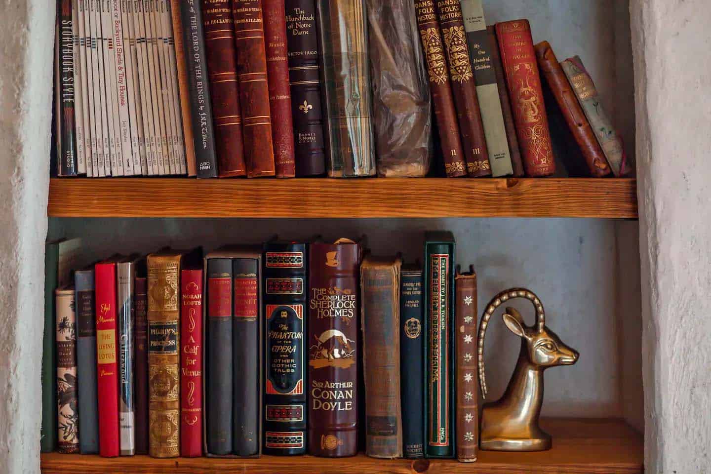 hobbit house bookshelf detail