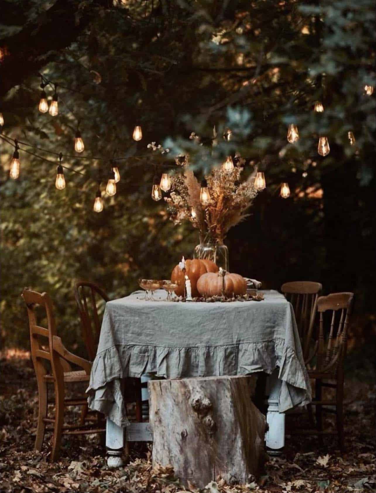 outdoor cozy autumn view of a dining table on an oak tree with string lights