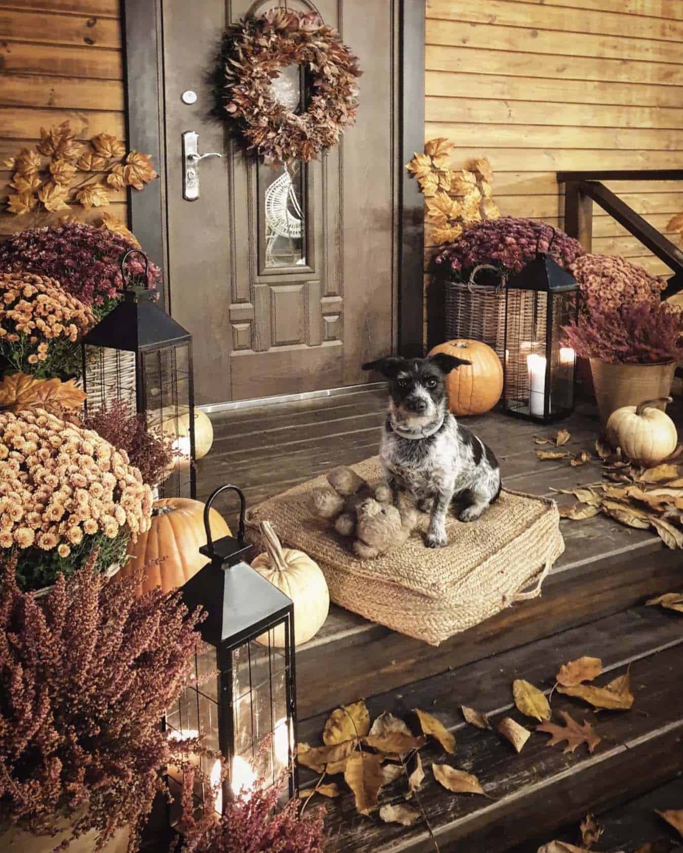 autumn front porch with pumpkins and mums