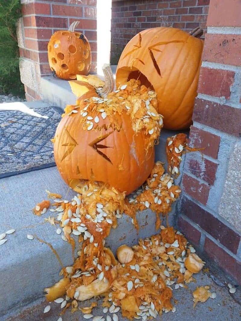 pumpkin pumpkins