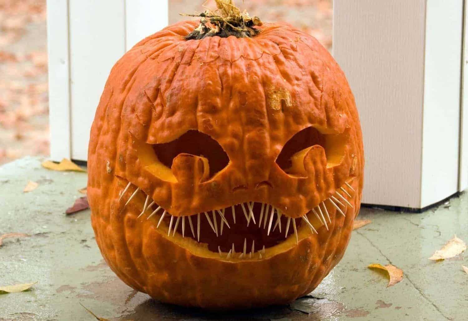 pumpkin with a wide mouth and tooth pick teeth