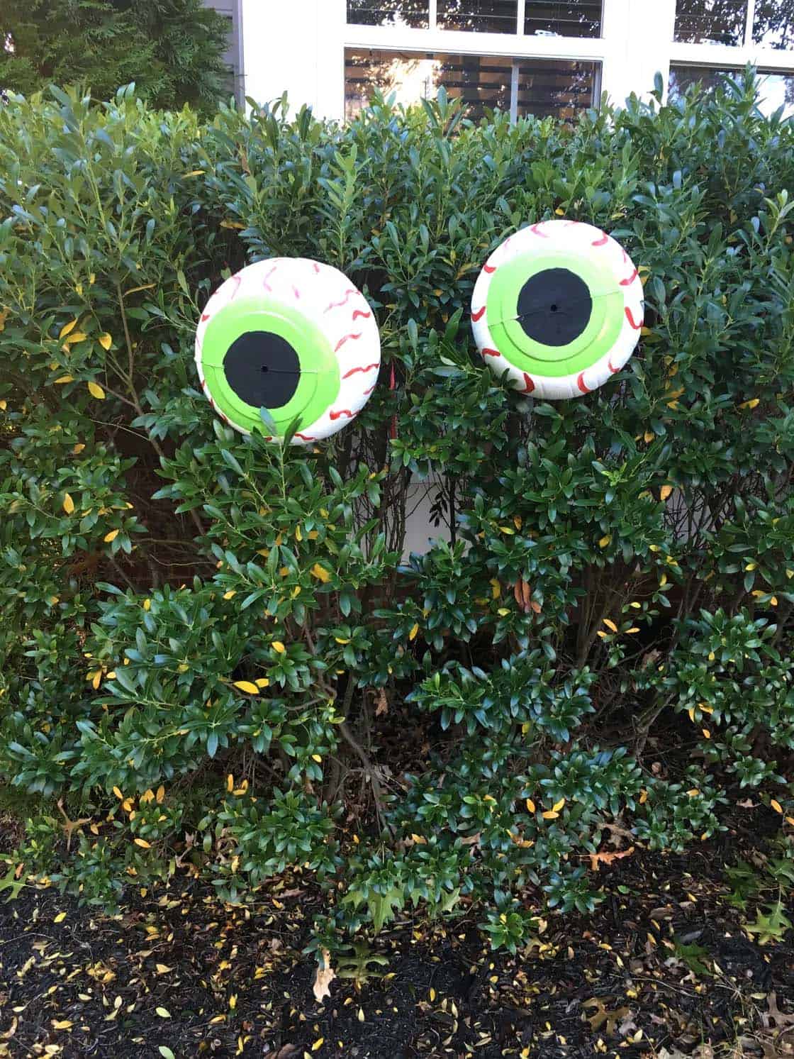 giant creepy eyeballs in the bushes for halloween