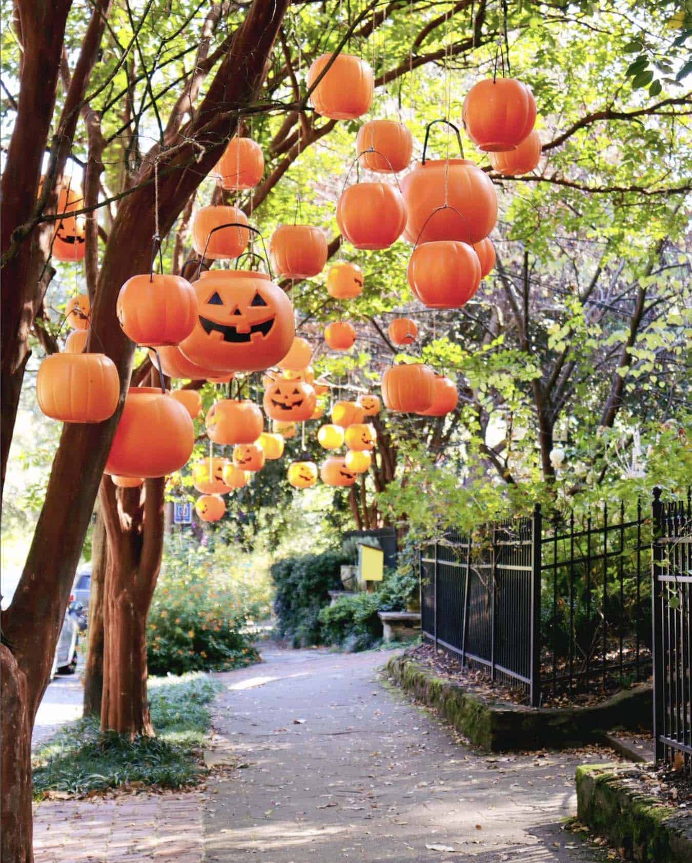 hanging plastic pumpkins from trees