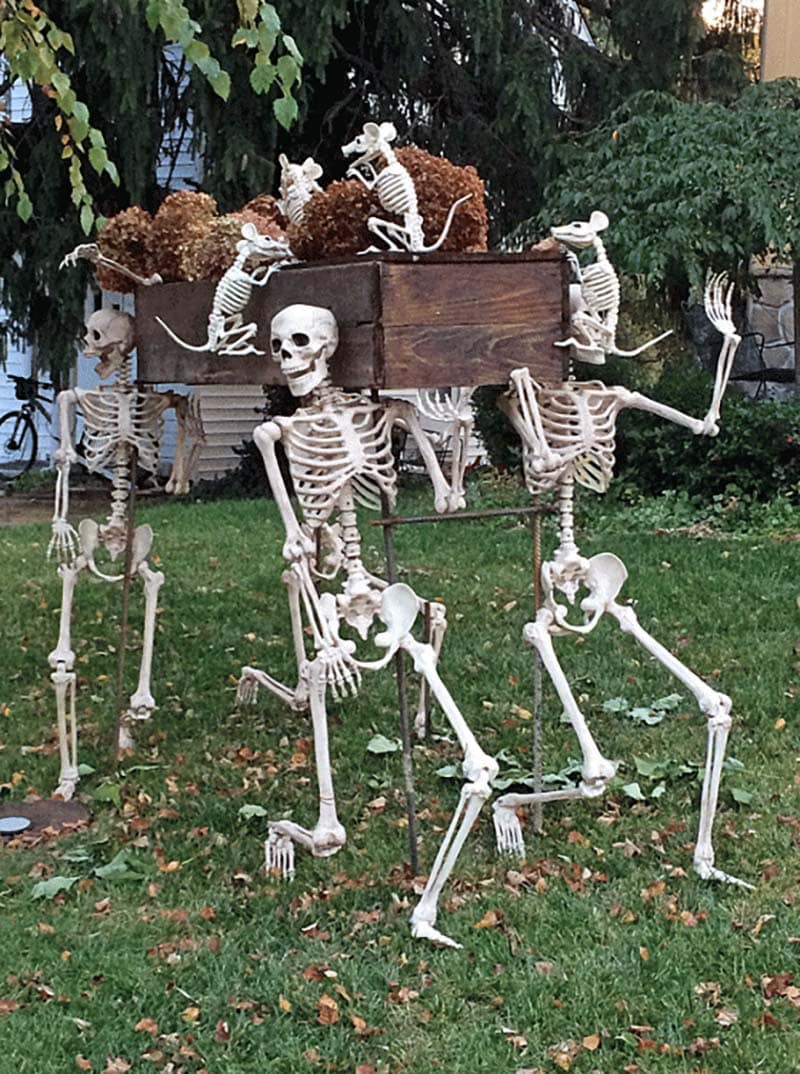 outdoor yard skeletons carrying a coffin for halloween