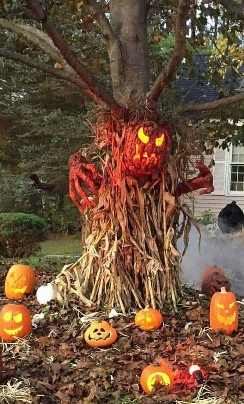 spooky tree pumpkin with corn stalks