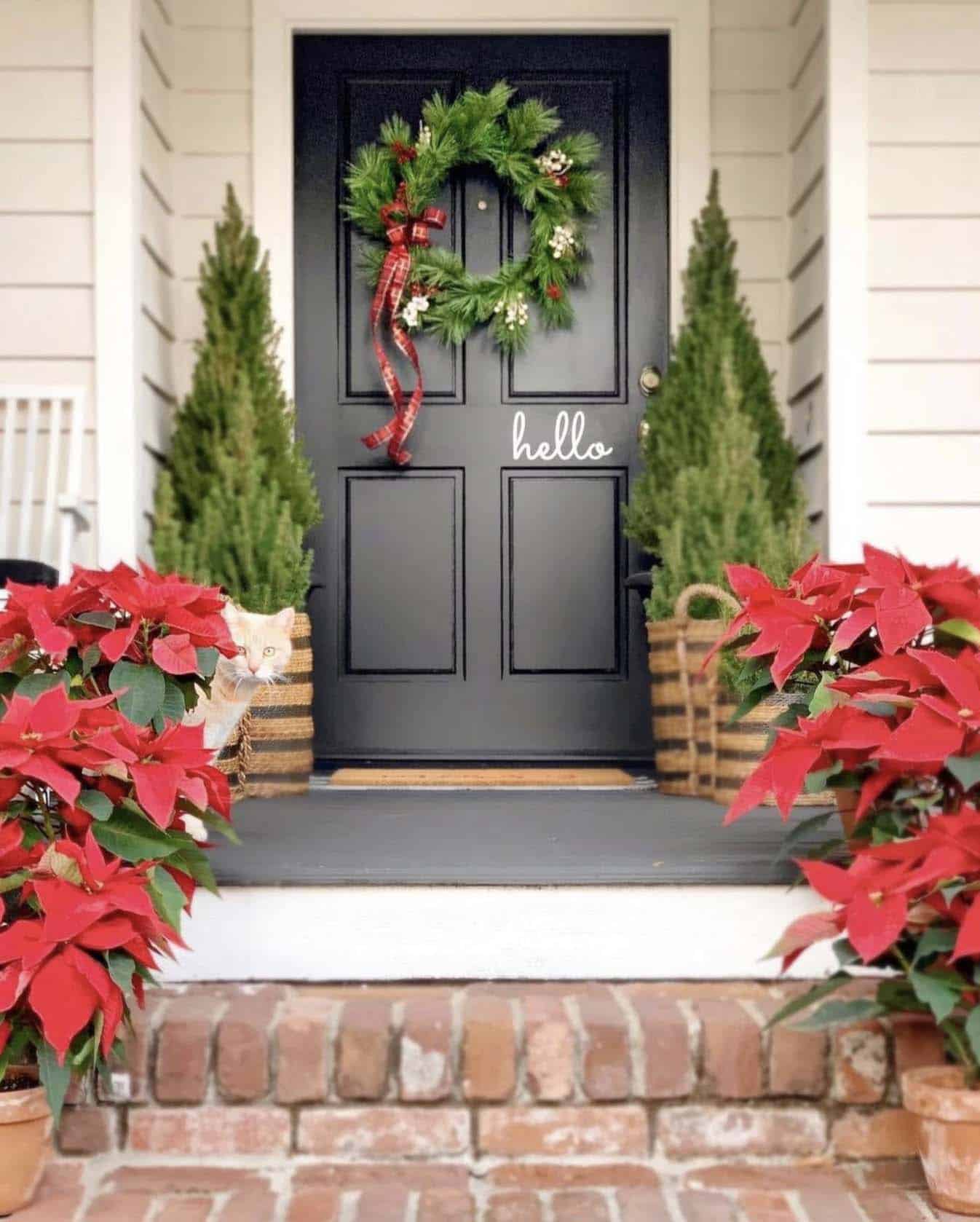 front door decorated with Alberta spruce trees and a Christmas wreath and poinsettias