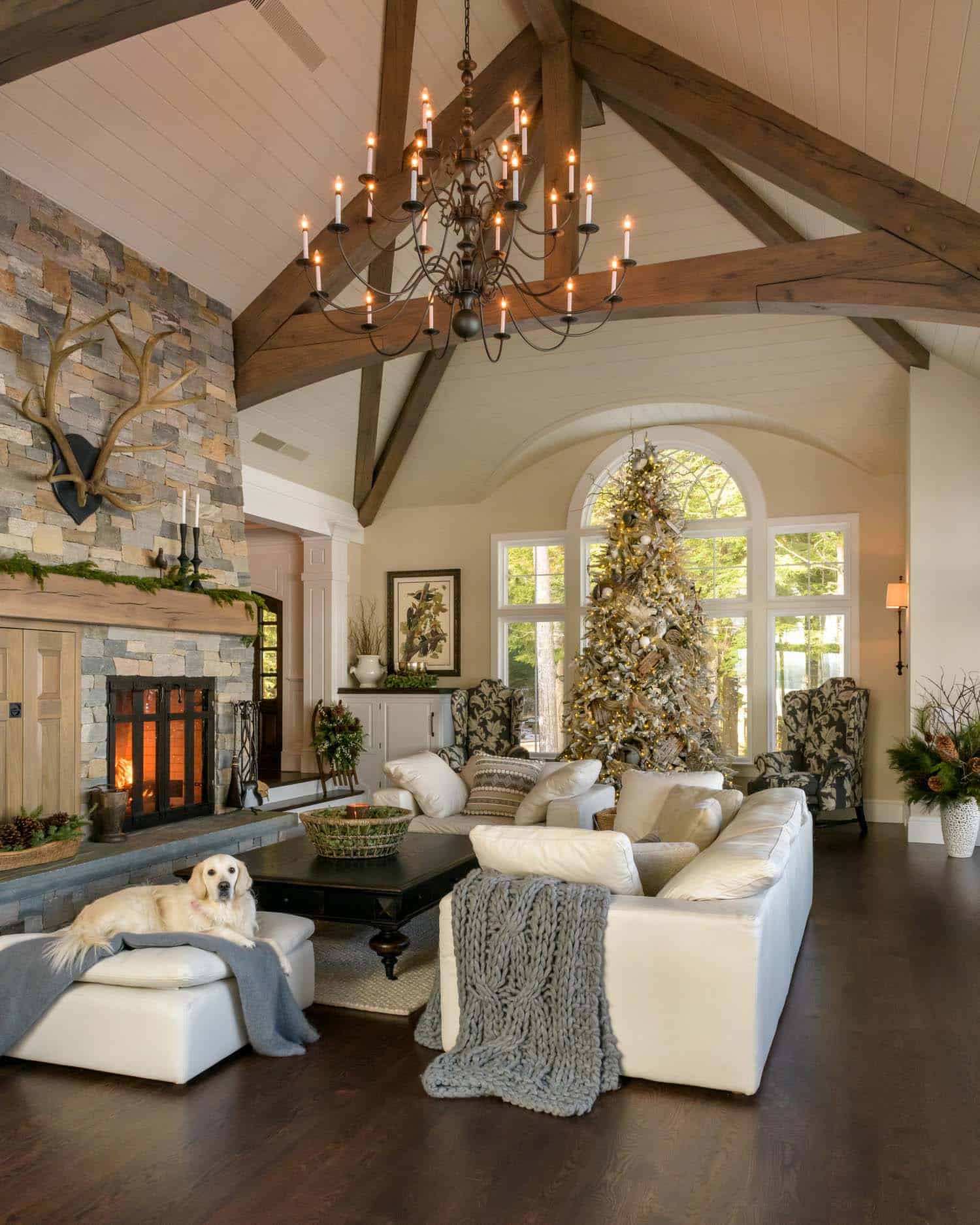 contemporary living room with a Christmas tree