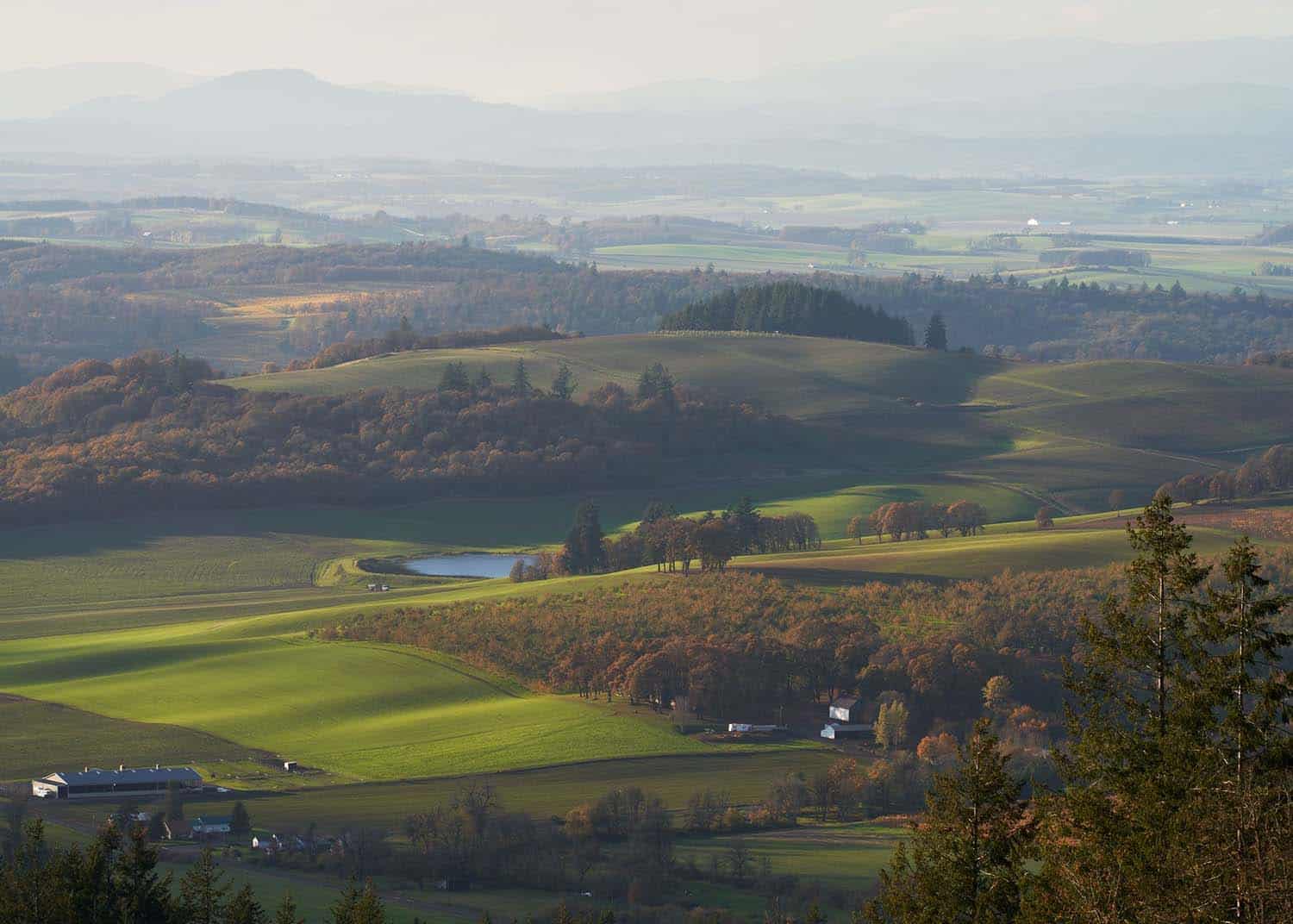 Oregon wine country landscape view