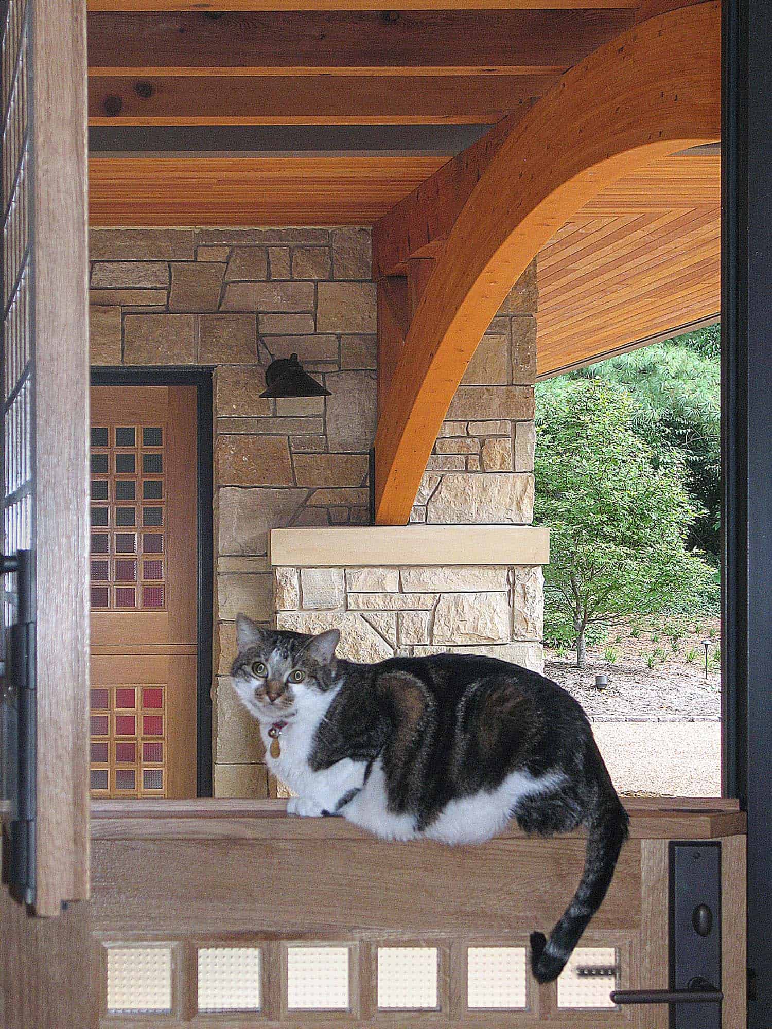 modern cottage exterior entry with a cat