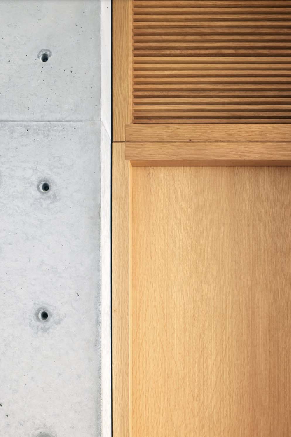 modern door detail