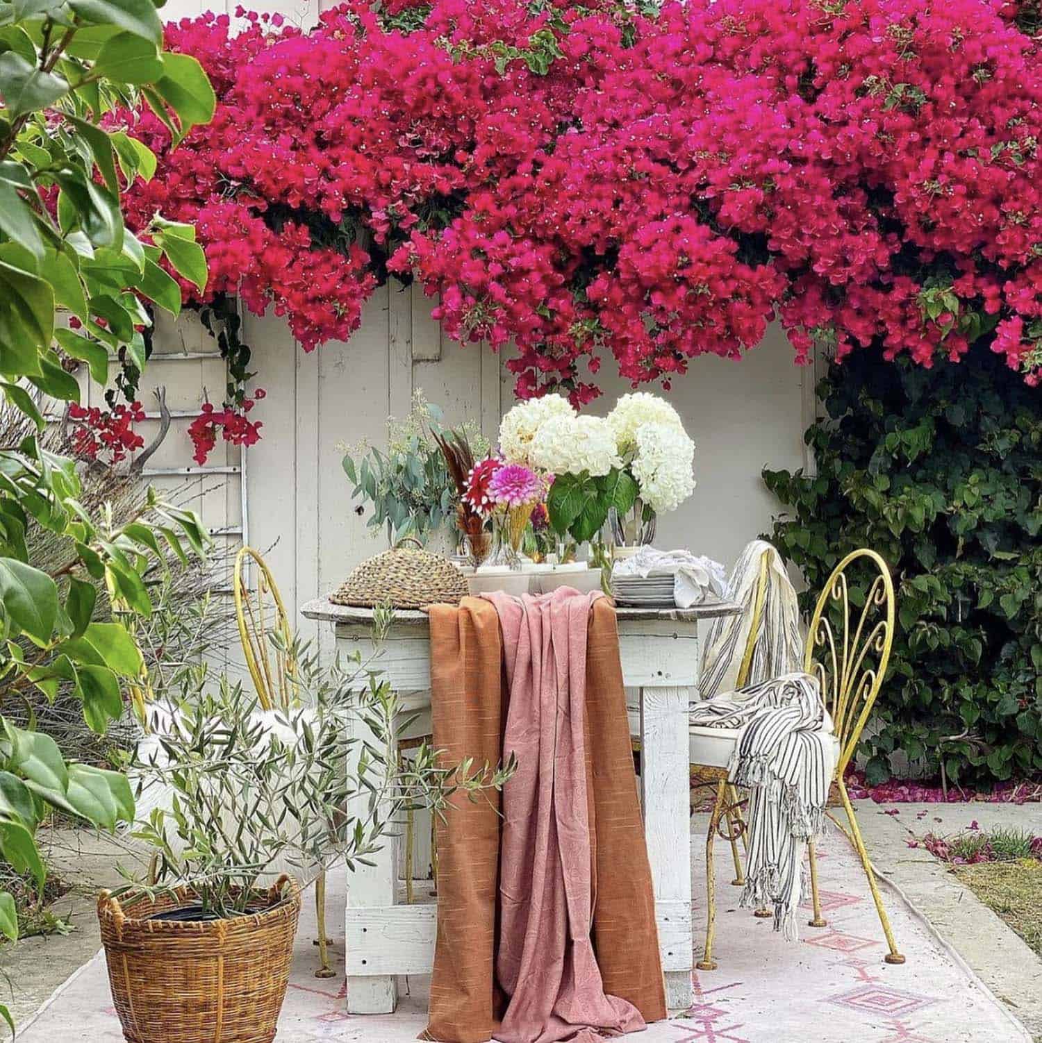 alfresco dining with a bougainvillea backdrop