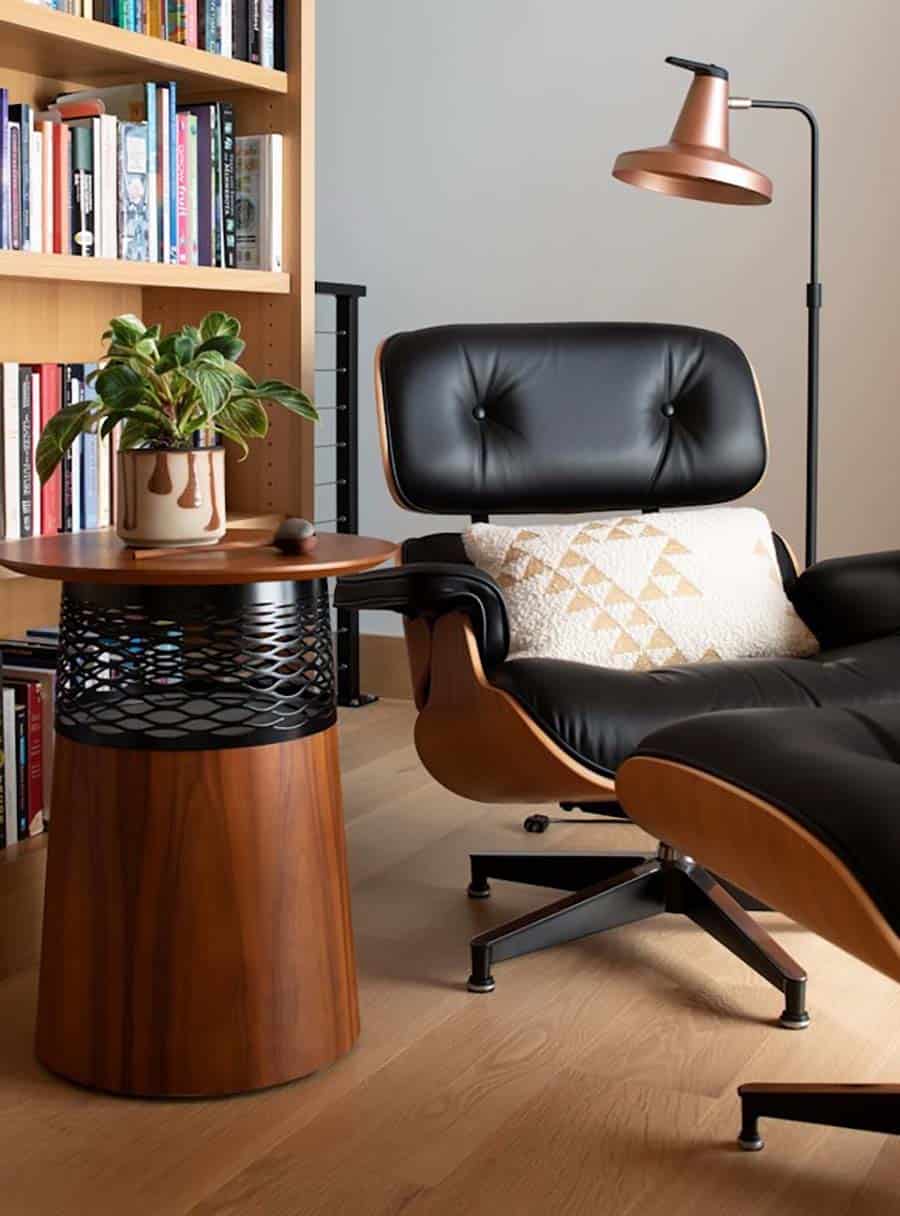 modern Eames chair