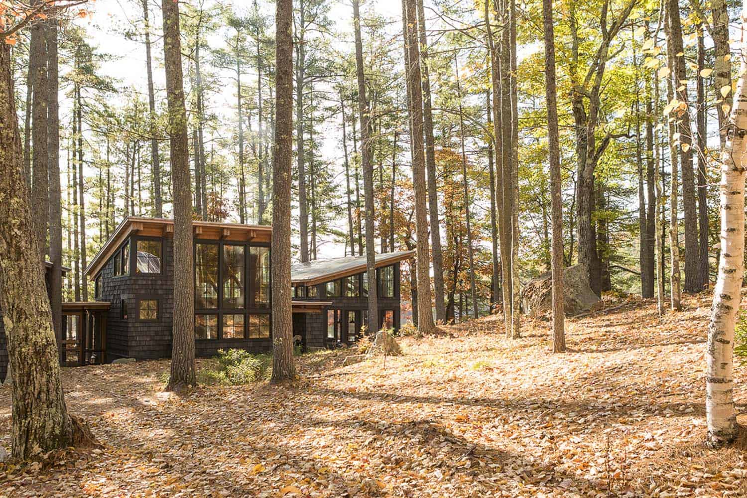 off-the-grid island camp exterior surrounded by woods